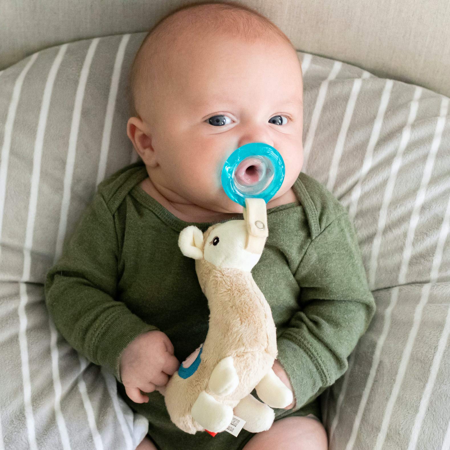 Nuby Soft Plush Pacifinder with Detachable Silicone Pacifier: 0-6 Months, Llama, Natural Cherry Shape, Multi, one Size