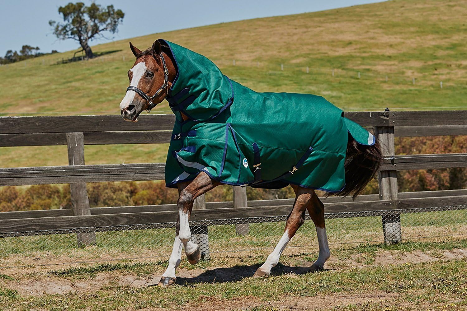 Equestrian WeatherBeeta ComFiTec PlusDynamic Combo Heavy Horse Turnout Rug Navy/Lime *SALE