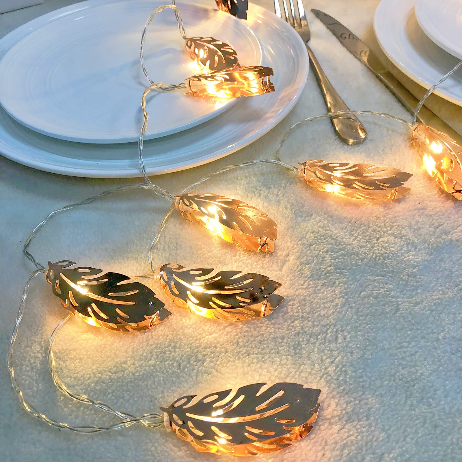 9.8FT/20 LED Rose Gold Feather LED Fairy Lights Metal Lantern String Lights Warm White USB Powered Hanging Light for ins Girl Room Wedding Party Decor (Gold Feather, USB)