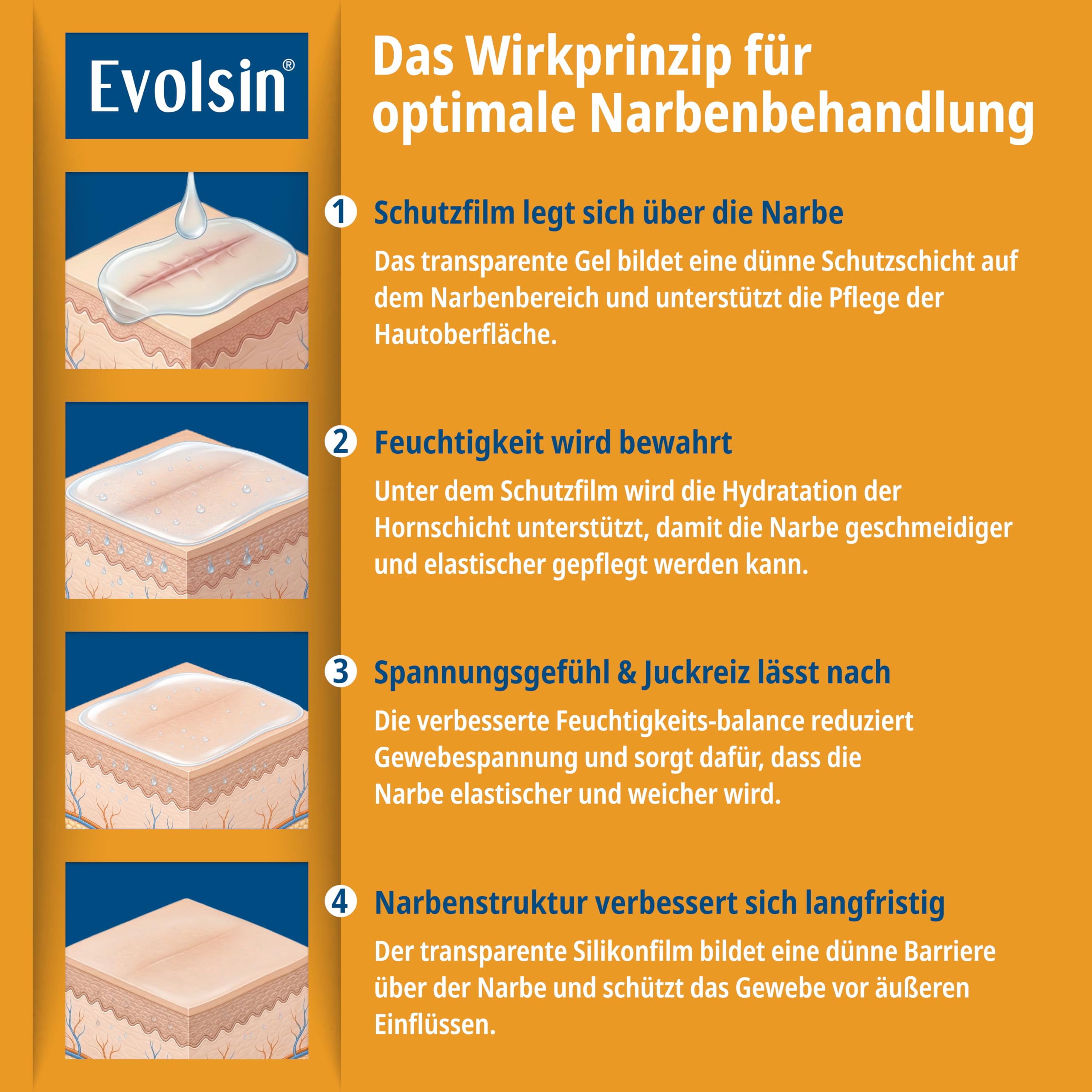 Evolsin® Narbengel für Kinder & Erwachsene, 20 g 3