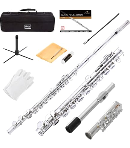 Amazon.com: Hisonic Signature Series 2810N Closed 16-hole Flute