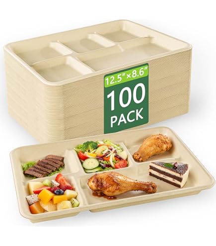 Amazon.com: Disposable Plates 10 Compartment Silver Thali Plates