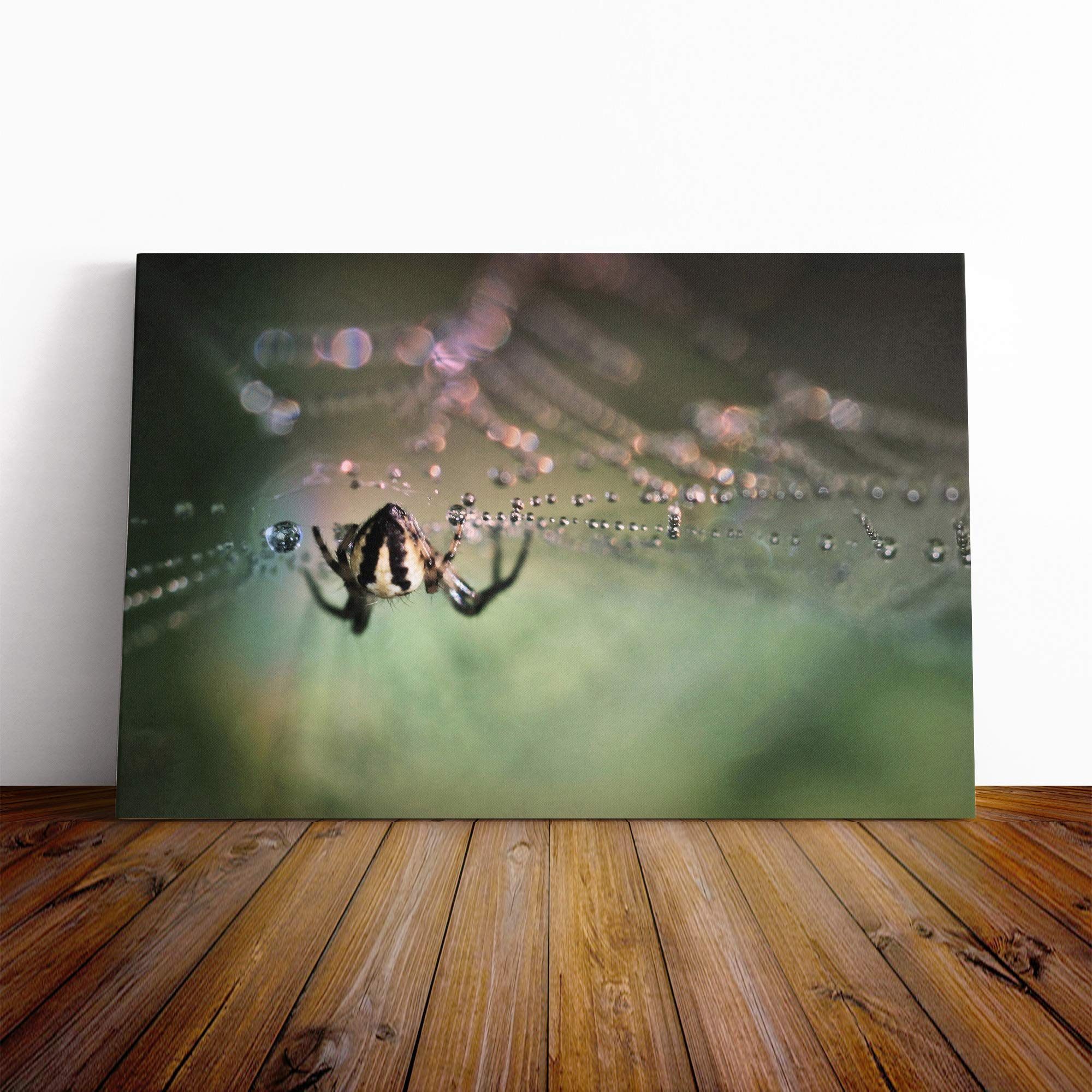 Spider and Cobweb (1) Canvas Print | Gallery Wrapped 30mm Frame Wall Art | 20x14 inches | Ready to Hang | Contemporary Animal Picture | Living Room Bedroom Lounge Office