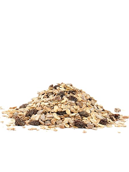 BOB’S RED MILL OLD COUNTRY STYLE MUESLI, 40OZ (PACK OF 1) – NON GMO, WHOLE GRAIN, VEGAN, KOSHER