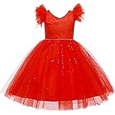 Weileenice Little/Big Girl Party Dress Tulle Girls Wedding Pageant Gown Kids Vintage Prom Holiday Tutu Dresses