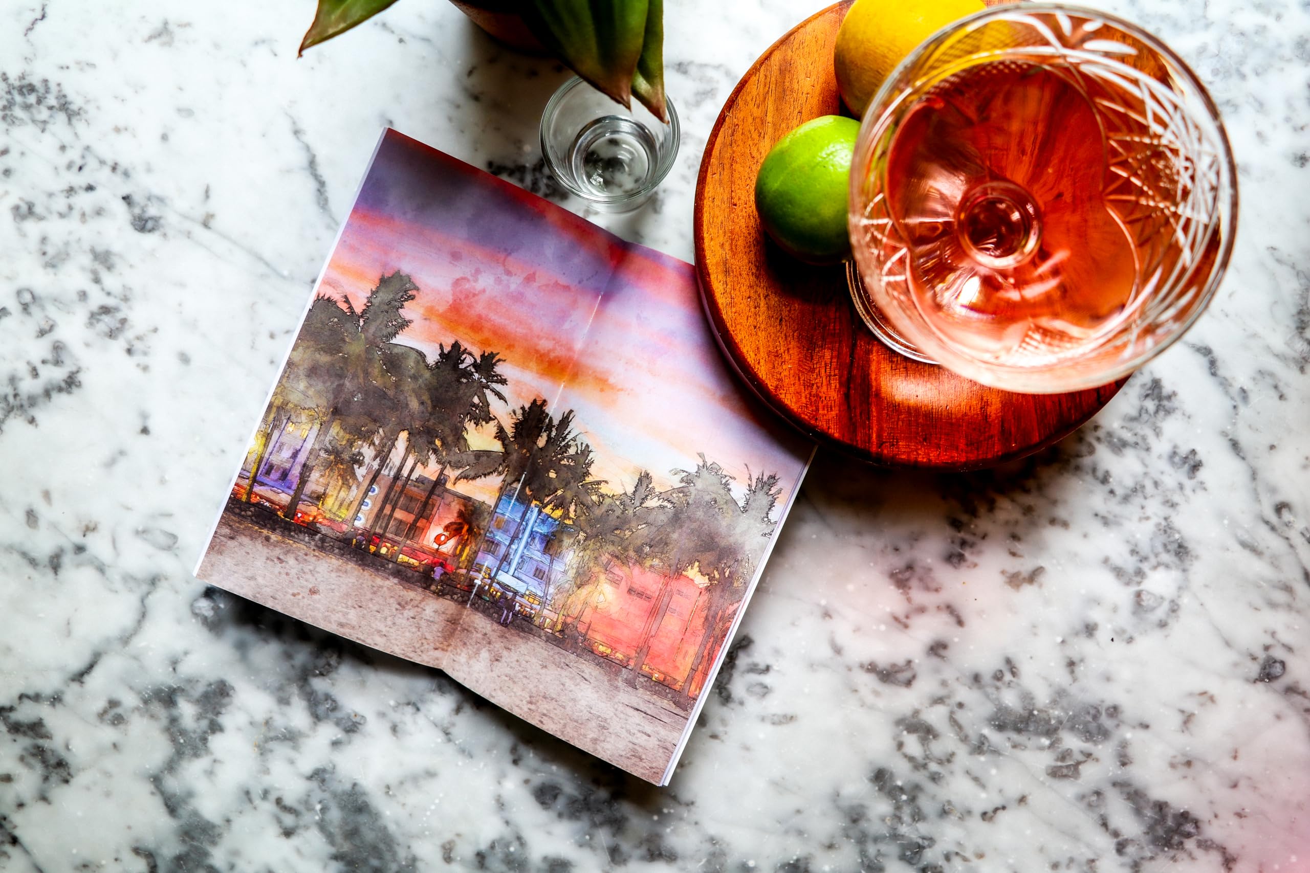 Drink Like a Local: Miami: A Field Guide to Miami's Best Bars