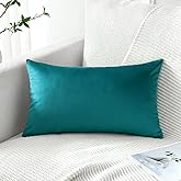 Artscope Luxury Velvet Pillow Covers Decorative Rectangle Pillowcases Soft Solid Cushion Cases for Couch Sofa Bedroom Car Decor 12x20 Inch Teal