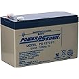 THERMO FISHER SCIENTIFIC 400159 Replacement Back-Up Battery for Ultra-Low Temperature Freezer