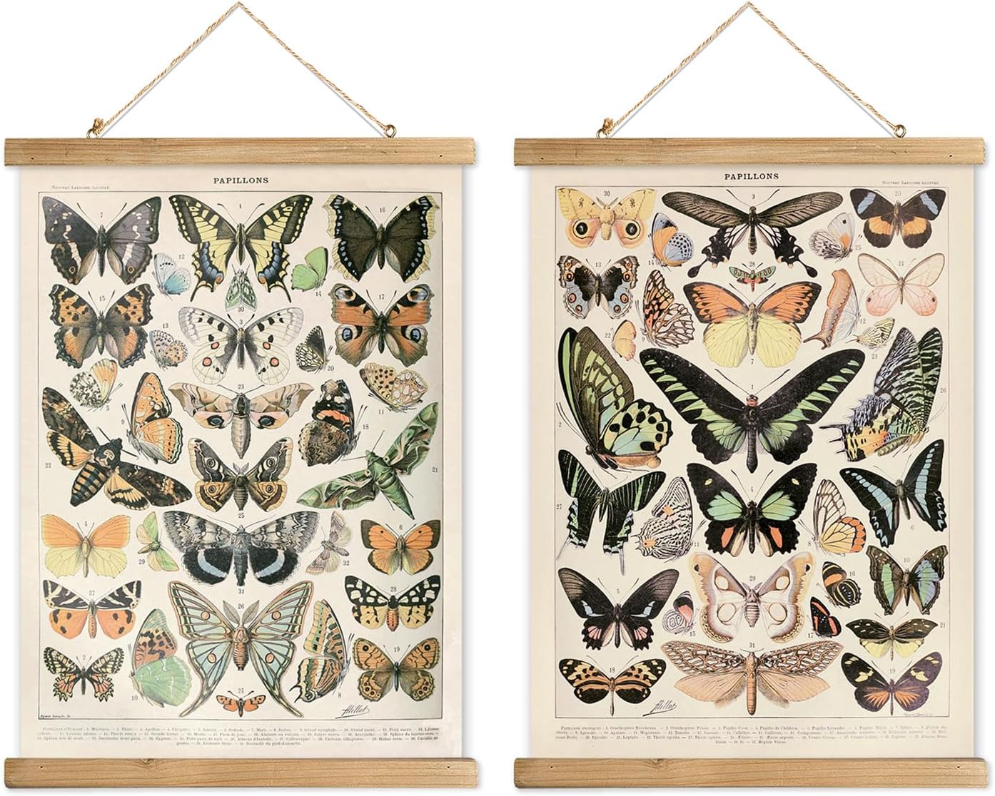 Posters & Prints - XIAOAIKA 2 Pack Vintage Butterflies Poster Hanger Frame, Cottagecore Room Decor Aesthetic, Retro Style Wall Decor Art Painting, Patterns are Printed on Linen Without Fading (16 x 23 inches)