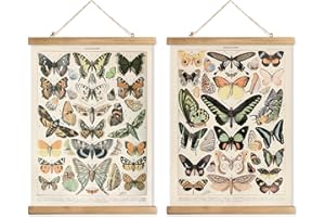 XIAOAIKA 2 Pack Vintage Butterfly Poster - Cottagecore Room Decor Aesthetic - Classic Lepidoptera Wall Art with Wooden Frame - Educational Decor for Nature Enthusiasts and Collectors 16 x 23 inches