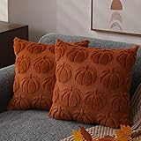 DFXSZ Fall Pillow Covers 20x20 Set of 2 Fall