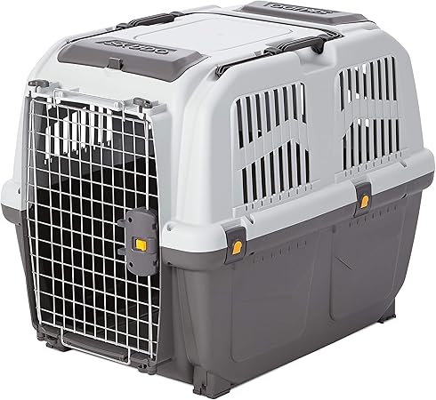 chewy dog food hill's science diet