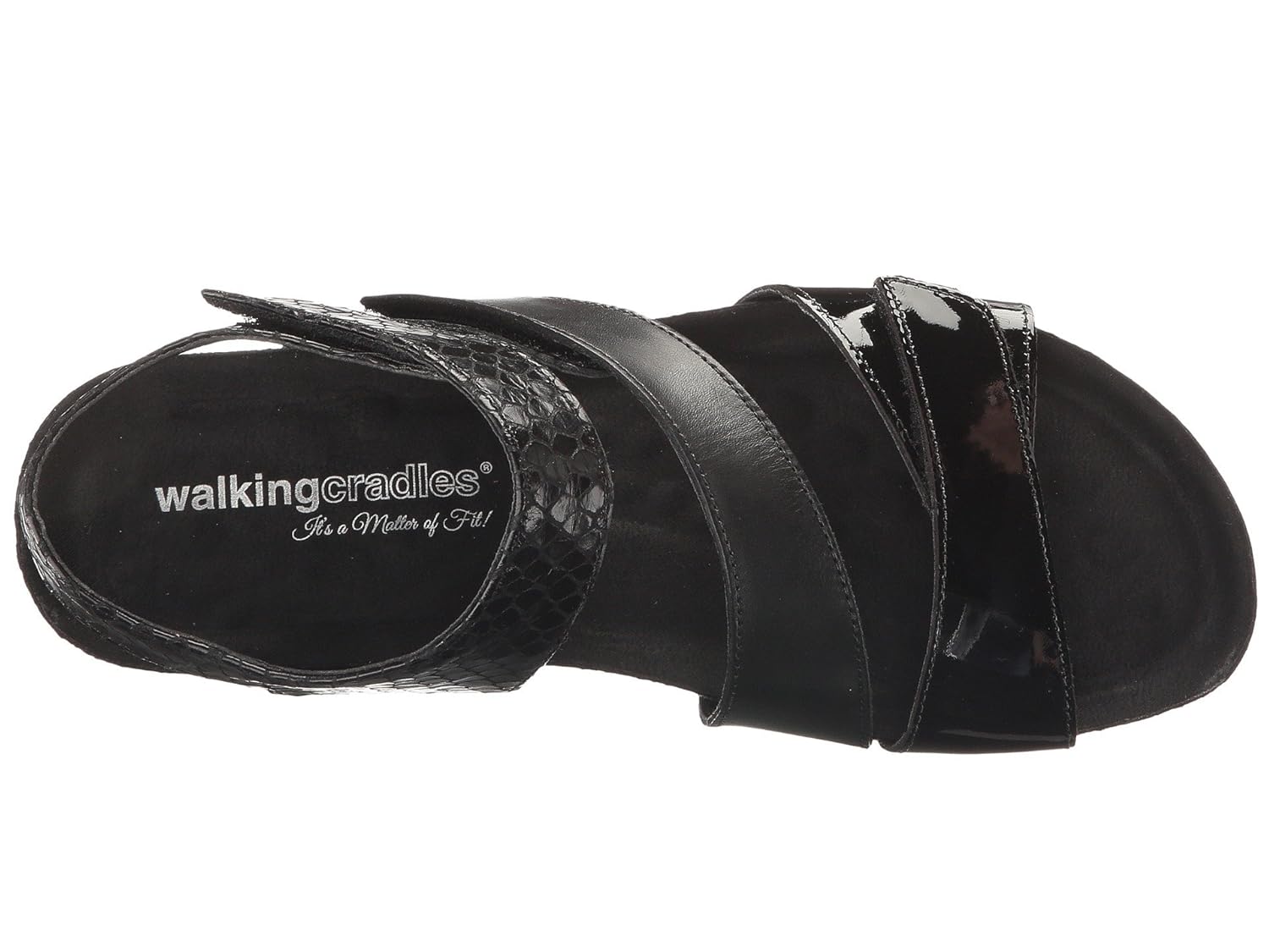 walking cradles pasha