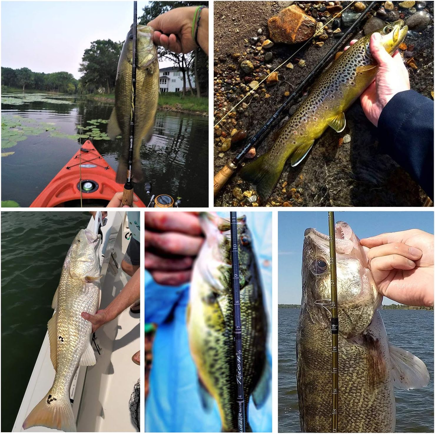 fishing measuring sticks