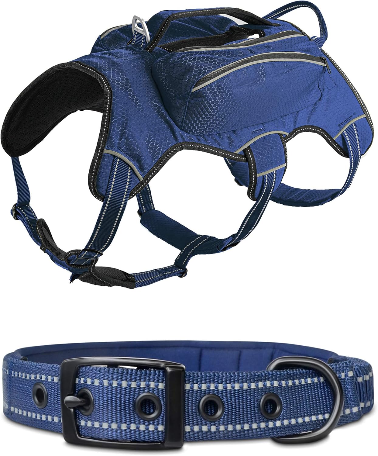 titan dog collar