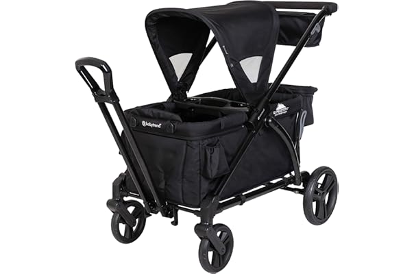 best double stroller amazon