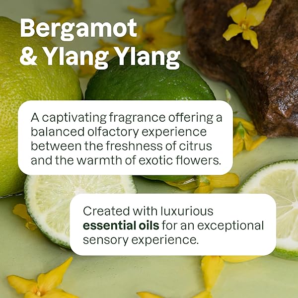 ATTITUDE BODY WASH WITH ESSENTIAL OILS, EWG VERIFIED SHOWER GEL, DERMATOLOGICALLY TESTED, PLANT AND MINERAL-BASED, VEGAN PERSONAL CARE, REFILLABLE BOTTLE, BERGAMOT AND YLANG YLANG, 16 FL OZ
