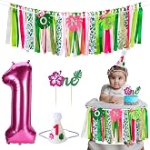 Hawaiian Aloha High Chair Banners for Girls 1st Birthday Party Decorations | Tropical Hawaiian Luau One High Chair Tassel Garland Banner for Moana 1st Birthday Party Baby Shower Backdrop Decorations