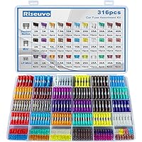 Riseuvo 316 Pcs Car Fuse Assortment Kit - Standard & Mini & Low Profile Mini Blade Automotive Replacement Fuses for RV, Campe