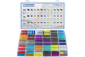 Riseuvo 316 Pcs Car Fuse Assortment Kit - Standard & Mini & Low Profile Mini Blade Automotive Replacement Fuses for RV, Campe