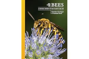 The Lives of Bees: A Natural History of Our Planet's Bee Life