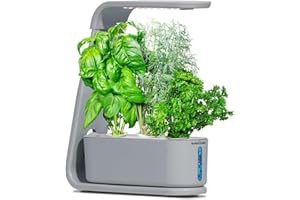 AeroGarden Sprout with Gourmet Herb Seed Pod Kit - Indoor Garden with LED Grow Light, Cool Gray