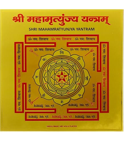 RARE WEALTH CHARM SET LAXMI KUBER YANTRA PENDANT GOMTI PUJA ALTAR WICCA TALISMAN
