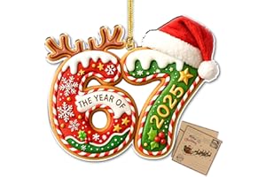TOKAYEN Gingerbread 67 Ornament, 67 Christmas Ornament, Christmas Decor 2025, Xmas Ornaments 2025, 67 Teen Girls Trendy Stuff, 67 Stuff, Stocking Stuffer, Funny Ornaments, Gen Z Gifts, Gingerbread Xmas Picks