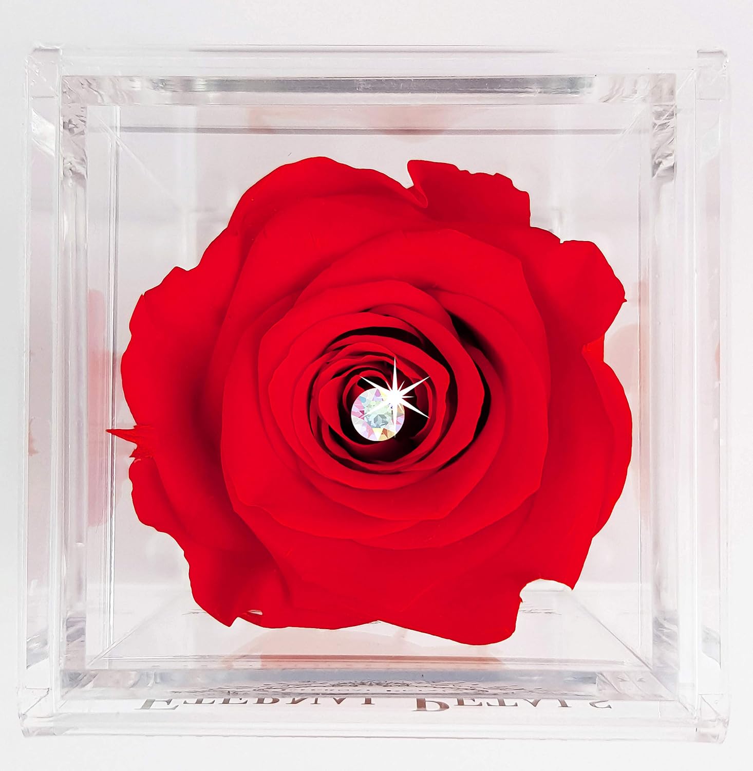 A 100% Real Rose That Lasts Years - Eternal Petals, Handmade in UK - White Gold Solo with A Multicolor Crystal (Red)