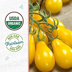 Back to the Roots 100% Organic Seed Packet - Tomato
