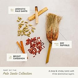Cremo Cologne For Men - Palo Santo Mens Cologne