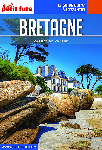 Download BRETAGNE 2019 Carnet Petit Futé (Carnet de voyage) PDF