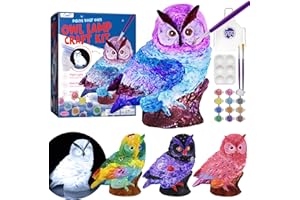 LAOESE Paint Your Own Owl Lamp Kit, Art Supplies Arts & Crafts Kit, Painting kit for Kids 6-12, Arts and Crafts for Kids Ages 8-12, Toys Girls Boy Birthday Gift Ages 3 4 5 6 7 8 9 10 11 12+
