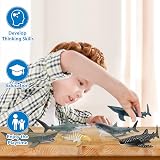 toymany 6PCS 12-14CM Realistic Shark Bath Toy Figurines Sea Animals Set Kids view 7