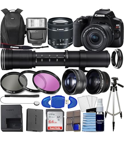 Amazon.com : Canon EOS 250D DSLR Camera with 18-55mm Lens (Black