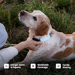 Tractive Smart Dog GPS Tracker | Live Pet Tracker