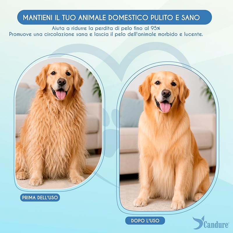 Spazzola Autopulente per Cani e Gatti, Spazzola Professionale per Pelo Lungo e Corto, Setole in Acciaio Inox, Rimuove Nodi, Sottopelo e Pelo Morto, Accessori Toelettatura (Azzurro Cielo)