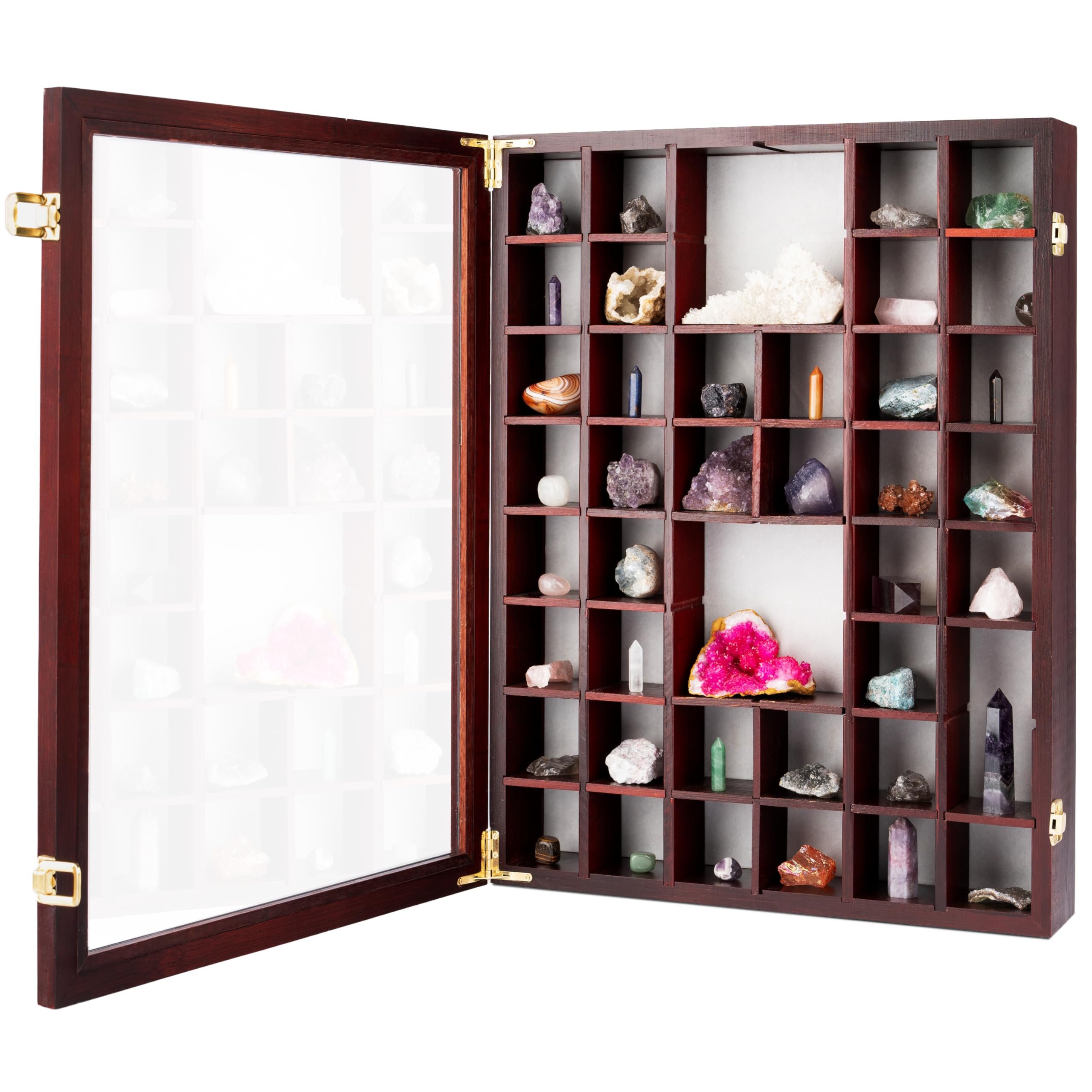 Adjustable Rock Display Case - Rock Collection Box