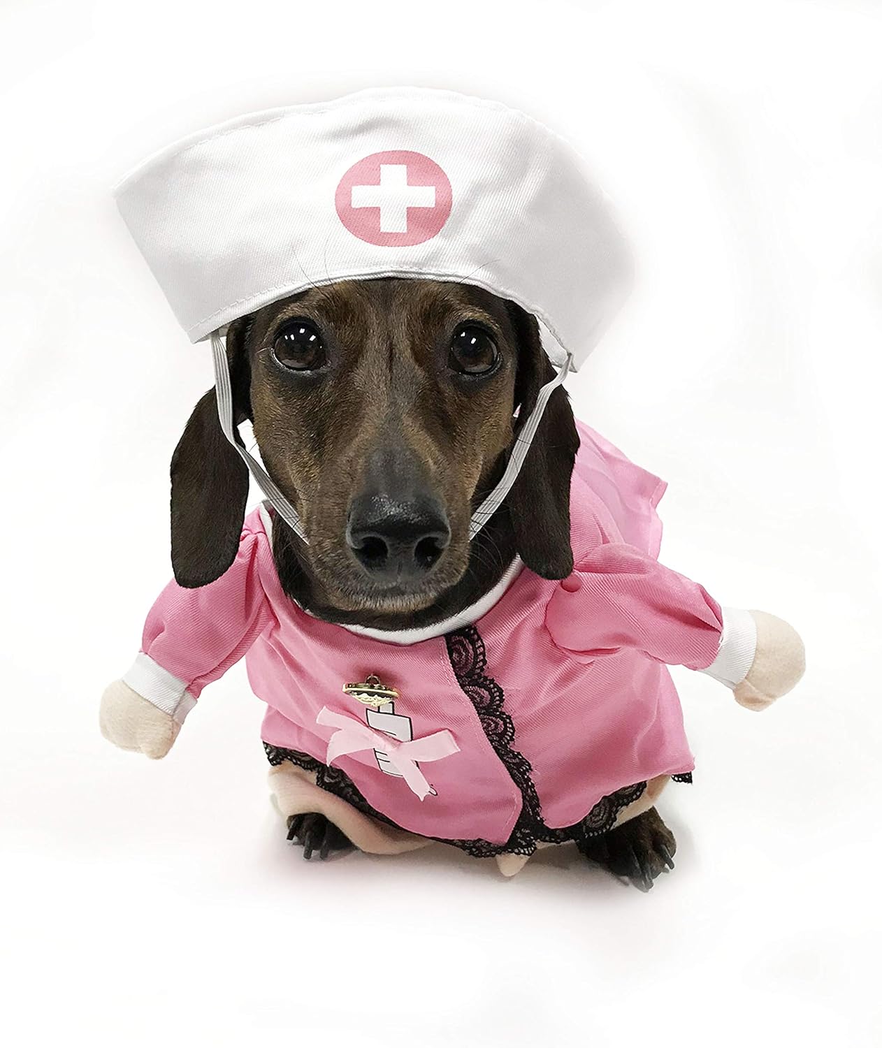 Midlee Fake Arms Nurse Dog Costume (Small Dog XSmall) Pet Supplies