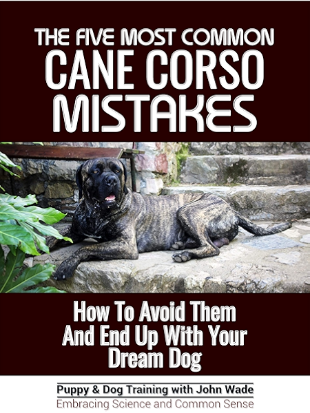cane corso bible