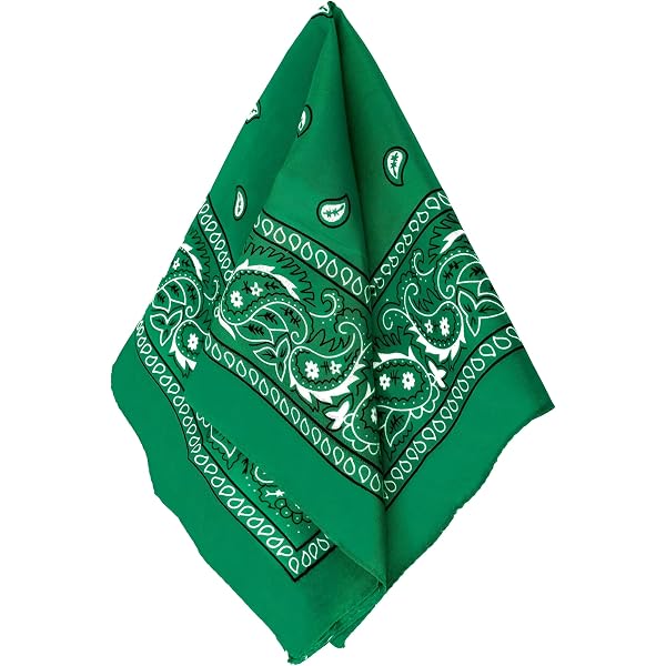 Amazon.com: Classic Blue Paisley Bandana - 20