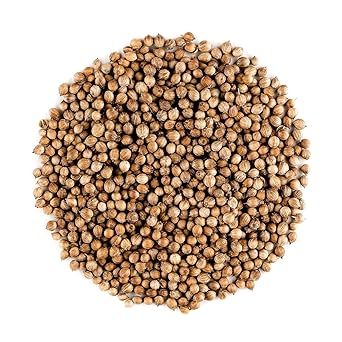 Koriander Samen Bio Gourmet Qualität - Koriandersamen zur Anhebung von Speisen - koriandersaat - koriandersamen 100g