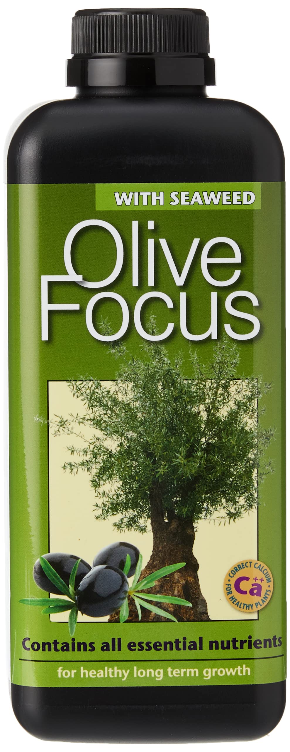 Olive Focus Liquid Concentrated Fertiliser 1 Litre