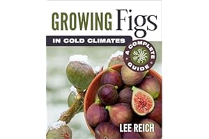 Growing Figs in Cold Climates: A Complete Guide