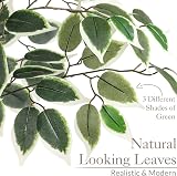 Christow 5ft Artificial Ficus Tree Variegated Leaves Natural Wood Trunk view 3