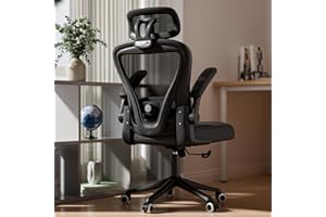 SeekFancy Ergonomic Office Chair M903, Computer Desk Chair with Wheels, High Back Mesh Office Chair with Adjustable Lumbar Support, Headrest, Flip-Up Armrests, Black