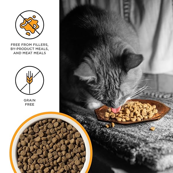 BIXBI LIBERTY DRY CAT FOOD KITTEN HEALTH CHICKEN RECIPE, 2.5LB