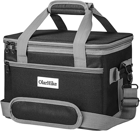 collapsible insulated lunch bag