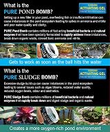 Evolution Aqua Pure Duo Pack Pond Bomb & Sludge Bomb Pond Treatment view 4