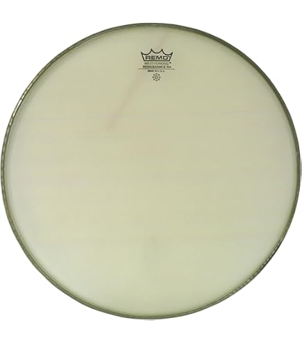 コンガヘッド REMO M7-S100-F5 10インチ REMO ( レモ ) M7-S100-F5 コンガヘッド 10インチ 送料無料
